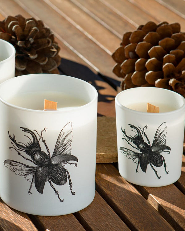 Candle in Jar INSECT Wood Wick 3oz Scarabeus Sacer - VICI Brands